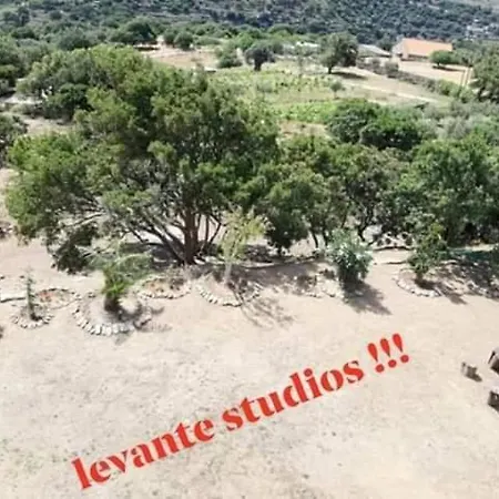 Apartment Levante αndros *