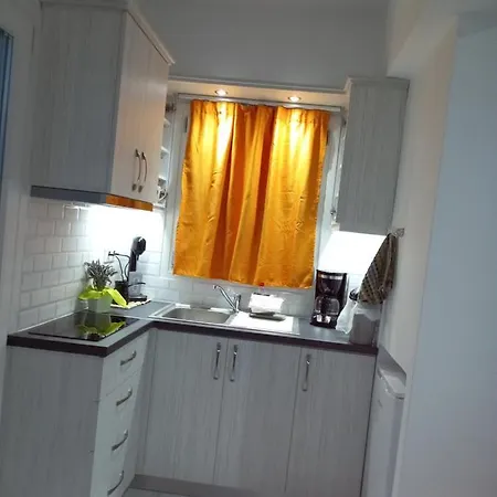 Levante αndros Apartment Menites