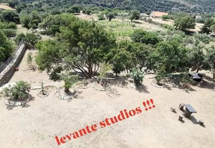 Apartament Levante αndros *